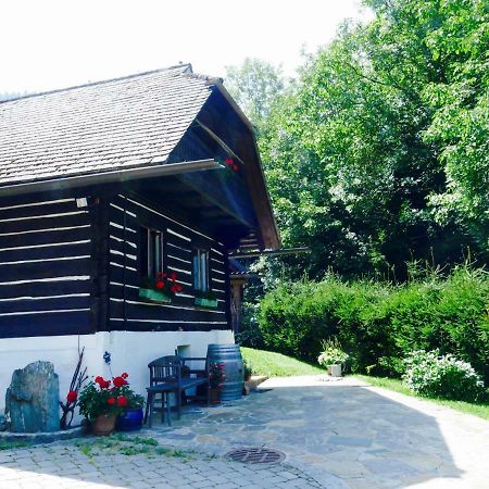 Bachkeusche Villa Ossiach Luaran gambar